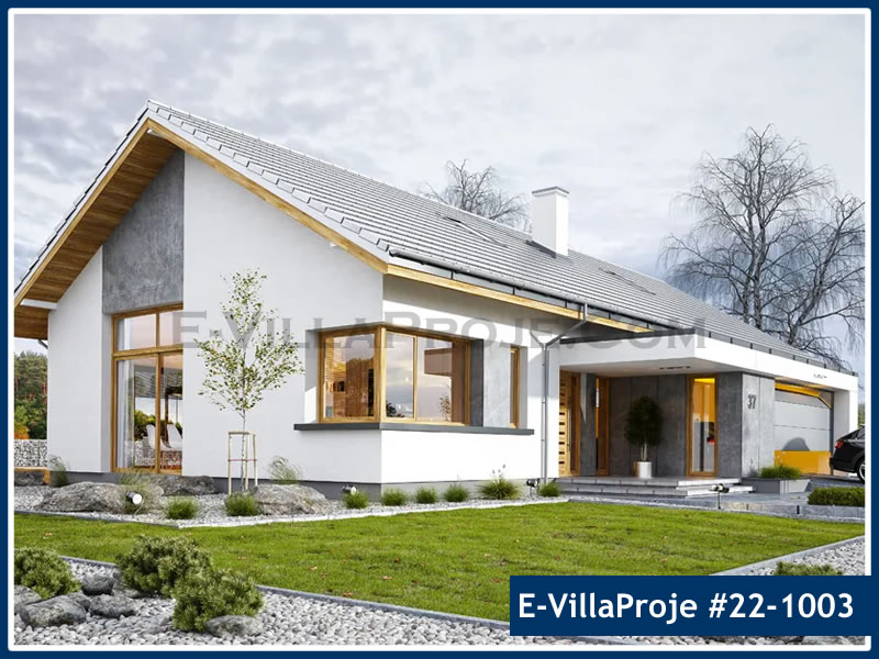 Ev Villa Proje #22 - 1003 Çelik Villa Modeli ve 3D Tasarımı