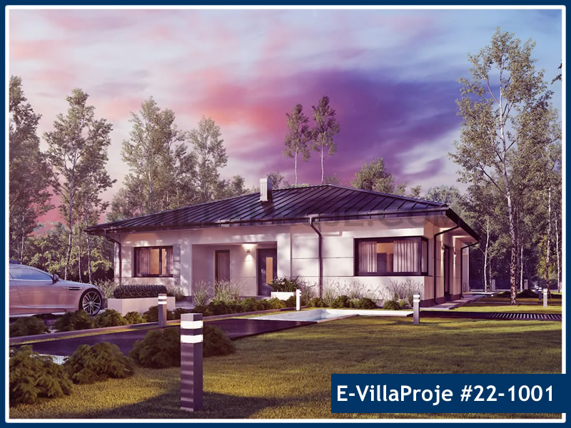 Ev Villa Proje #22 - 1001 Çelik Villa Modeli ve 3D Tasarımı