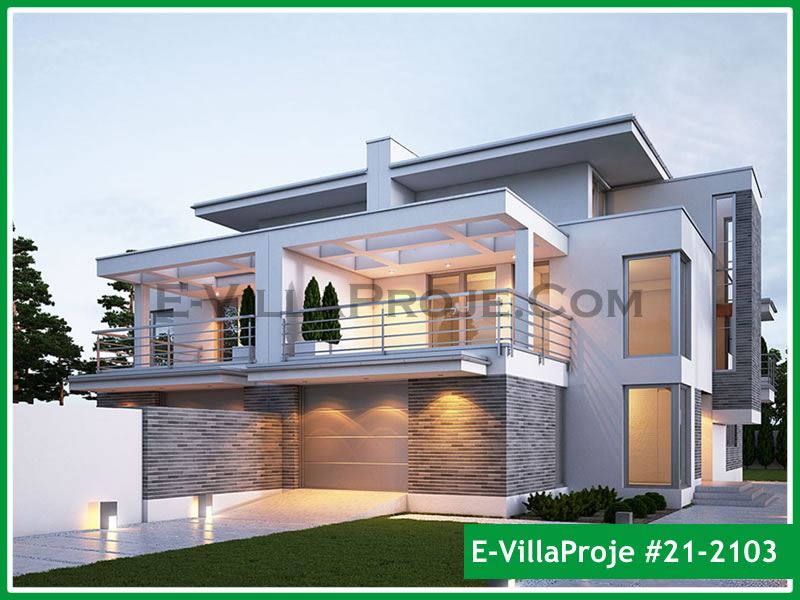 Ev Villa Proje #21 - 2103 Çelik Villa Modeli ve 3D Tasarımı