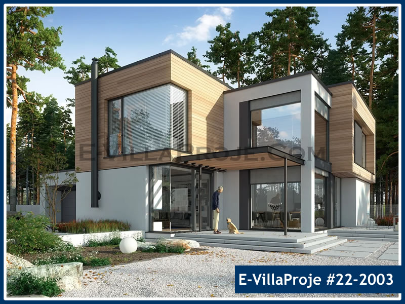 Ev Villa Proje #22 - 2003 Çelik Villa Modeli ve 3D Tasarımı