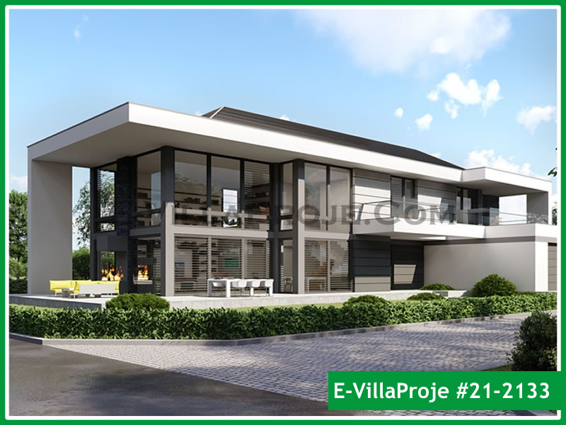 Ev Villa Proje #21 - 2133 Çelik Villa Projesi 3D Mimari Tasarımı